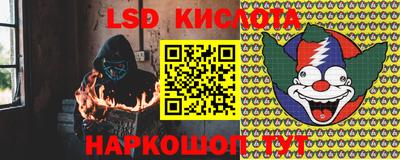 прущие грибы Гусиноозёрск