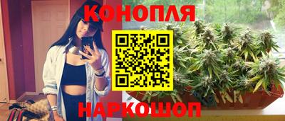 МДПВ Гусев