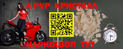 прущие грибы Гусиноозёрск