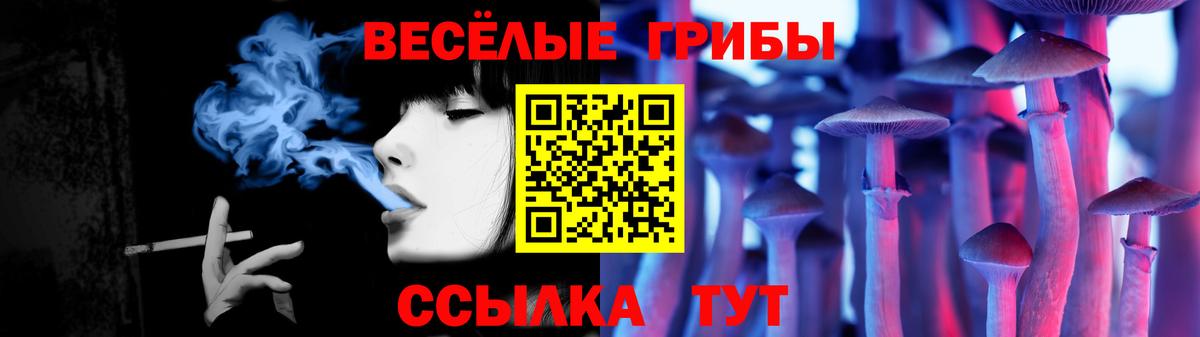 где купить наркотик  Галлюциногенные грибы мицелий  Псилоцибиновые грибы Cubensis  Вход с VPN  Лосино-Петровский 